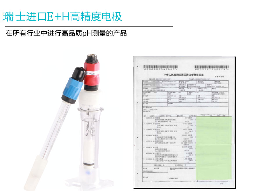 E+H进口高精度电极